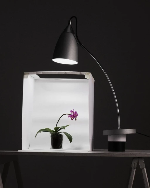 Daniel Jordán Pompa