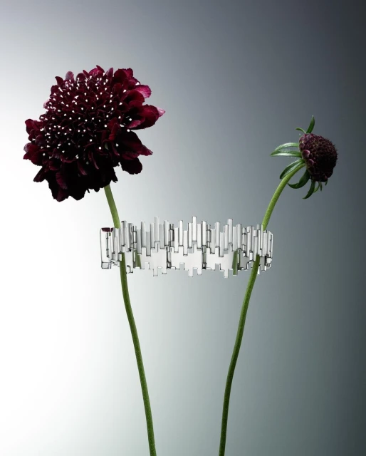 King Management Agency