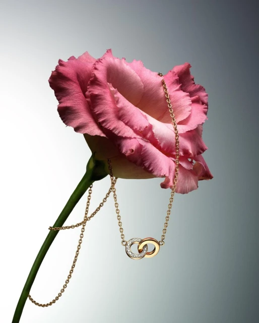 King Management Agency