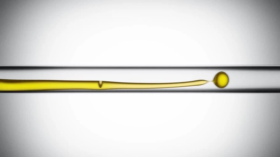 King Management Agency