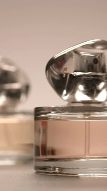 King Management Agency