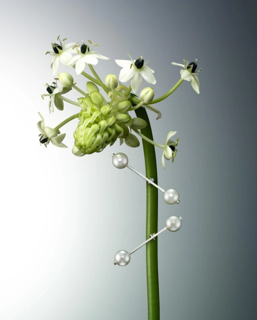 King Management Agency