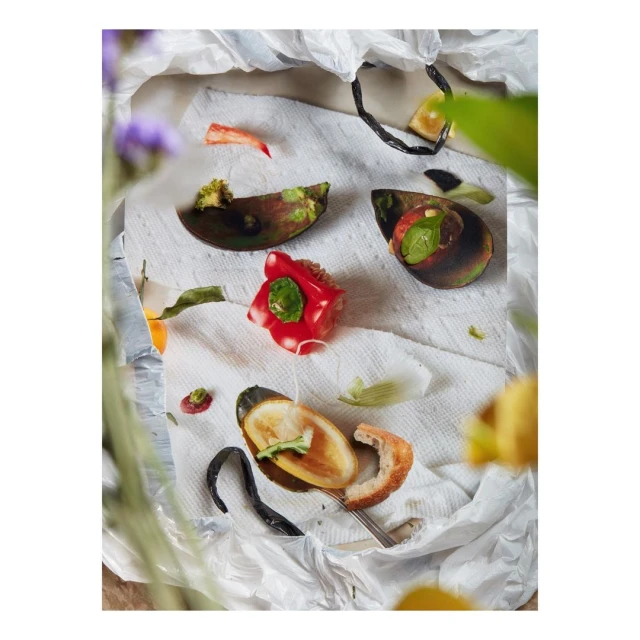 David Brandon Geeting