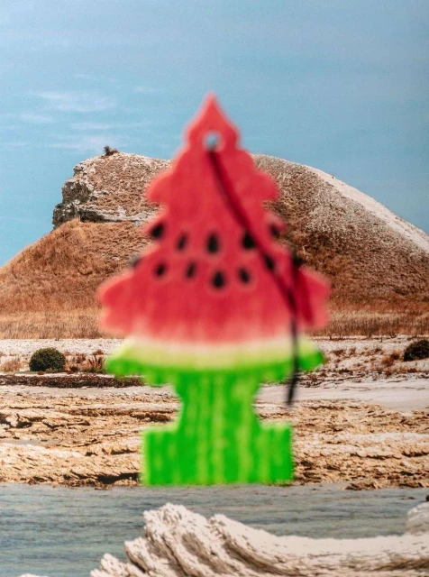 David Brandon Geeting