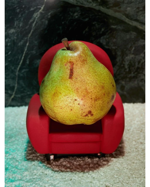 David Brandon Geeting