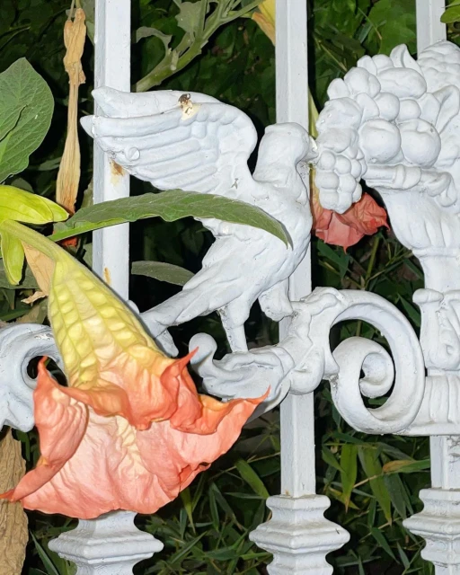 David Brandon Geeting