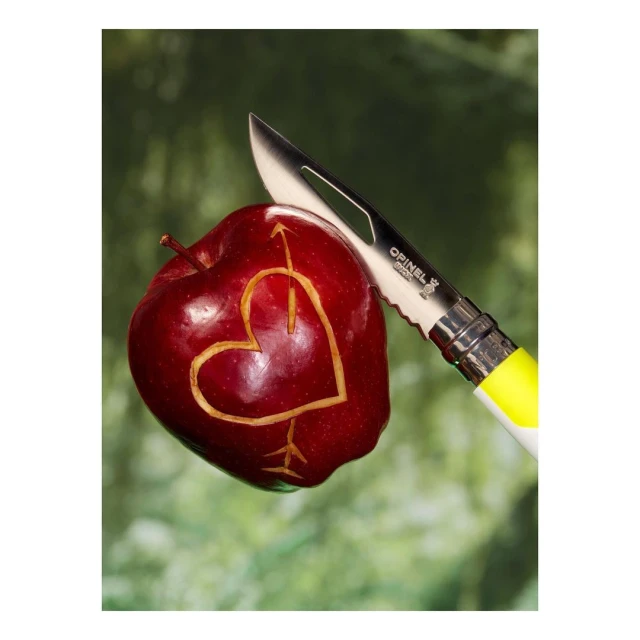 David Brandon Geeting