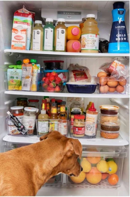 David Brandon Geeting