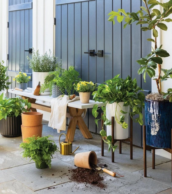 Pat Bates & Associates