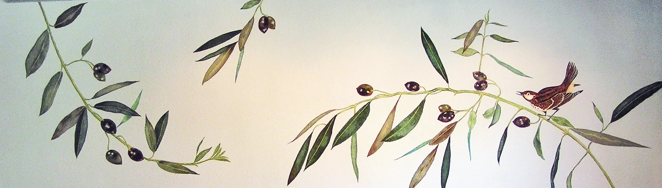 Denise Hilton-campbell