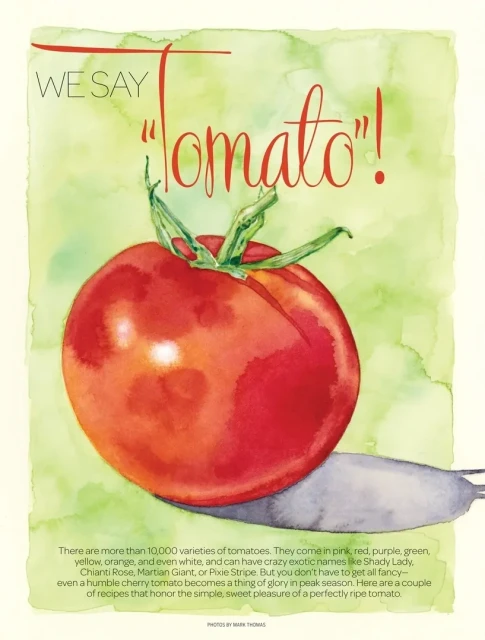 Denise Hilton-campbell