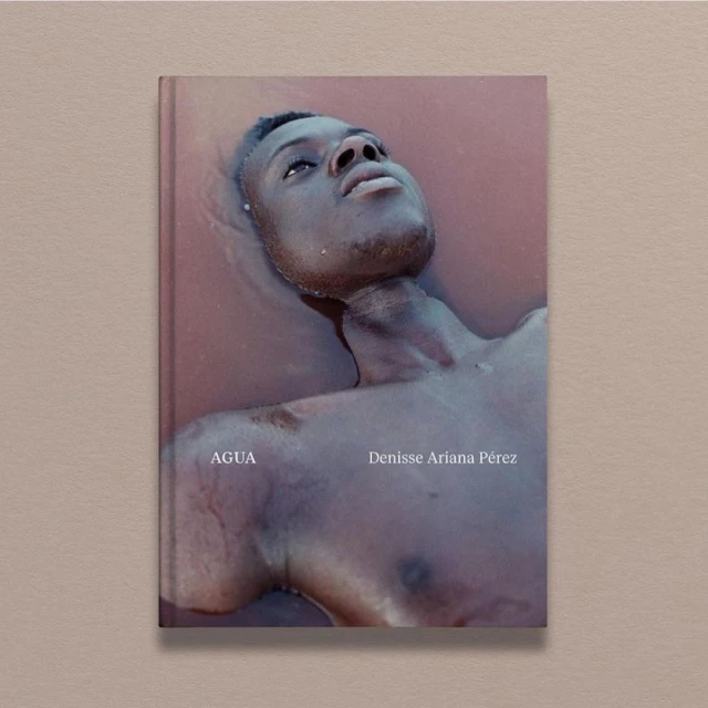 Denisse Ariana Pérez