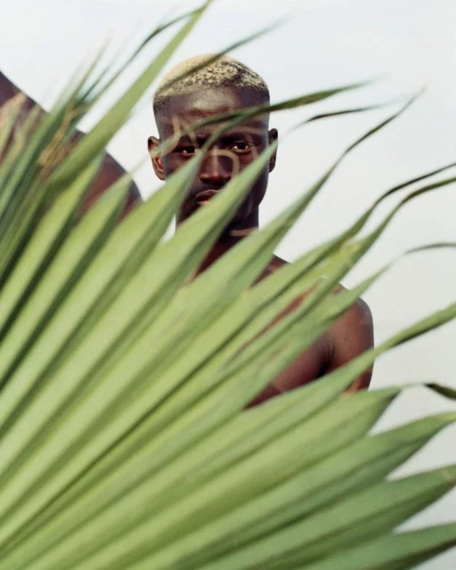 Denisse Ariana Pérez