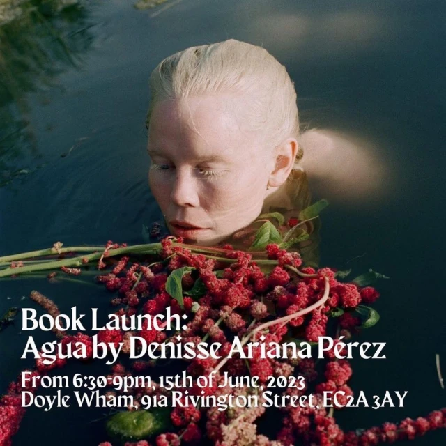 Denisse Ariana Pérez