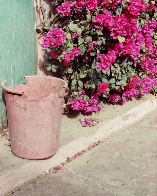 Denisse Ariana Pérez