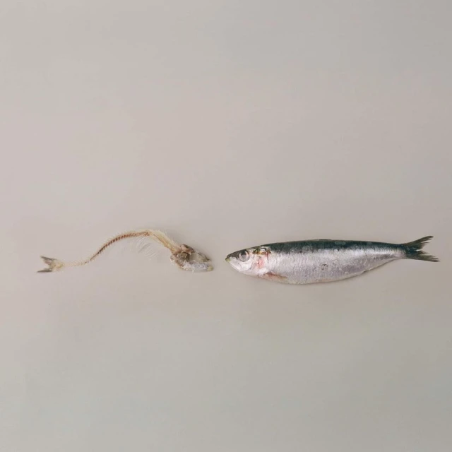 Denisse Ariana Pérez