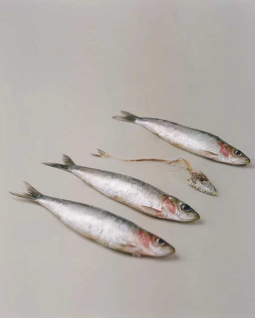 Denisse Ariana Pérez