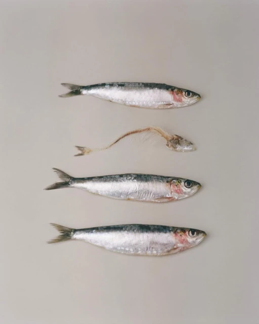 Denisse Ariana Pérez