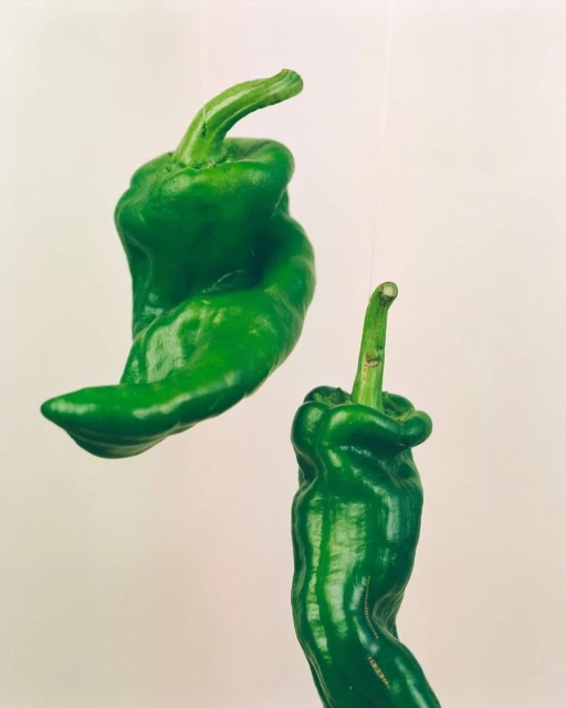 Denisse Ariana Pérez