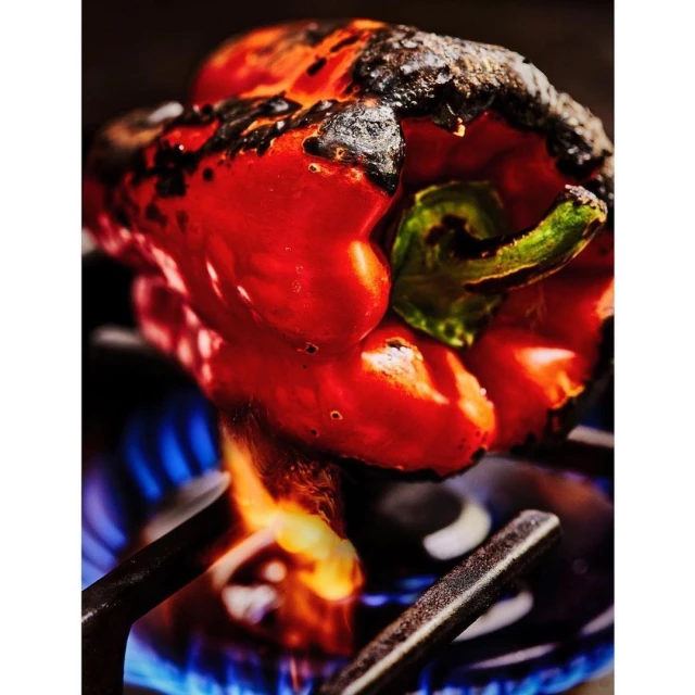 Janice Moses Represents