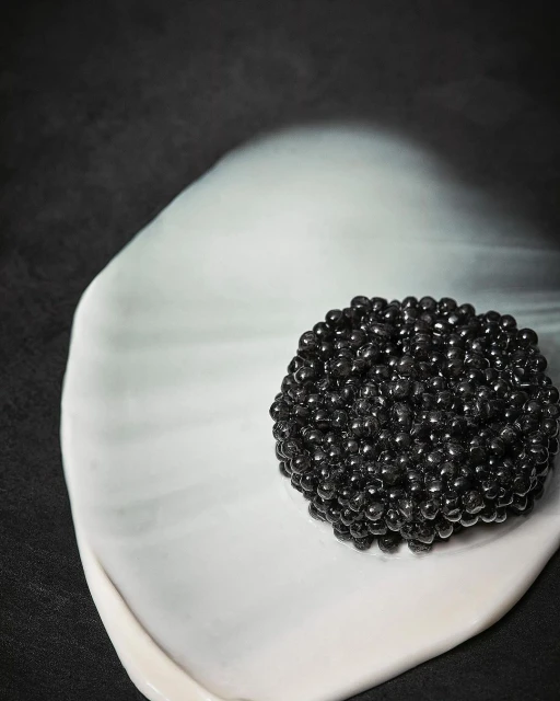 Janice Moses Represents