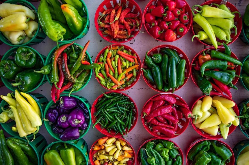 Janice Moses Represents