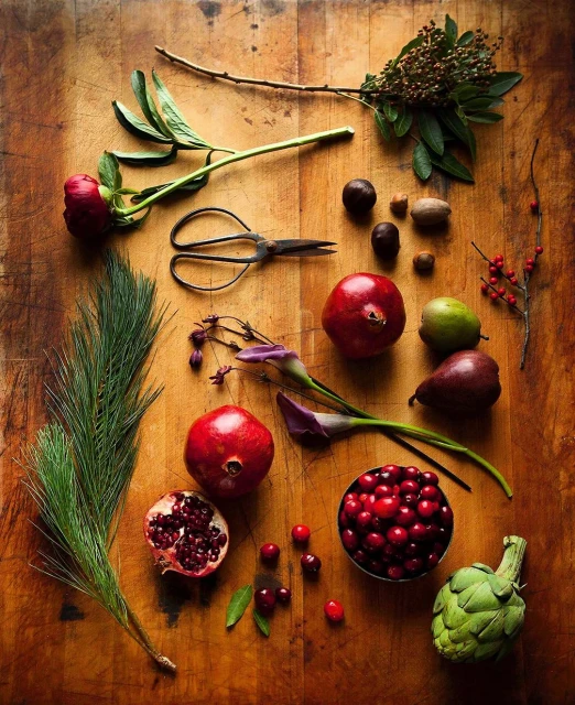 Janice Moses Represents