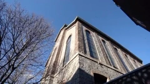 Janice Moses Represents