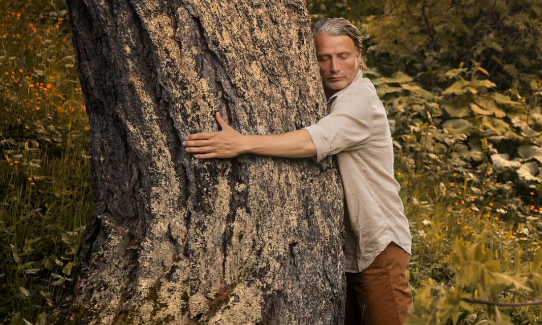 Rockenfeller & Göbels