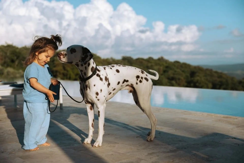 Rockenfeller & Göbels
