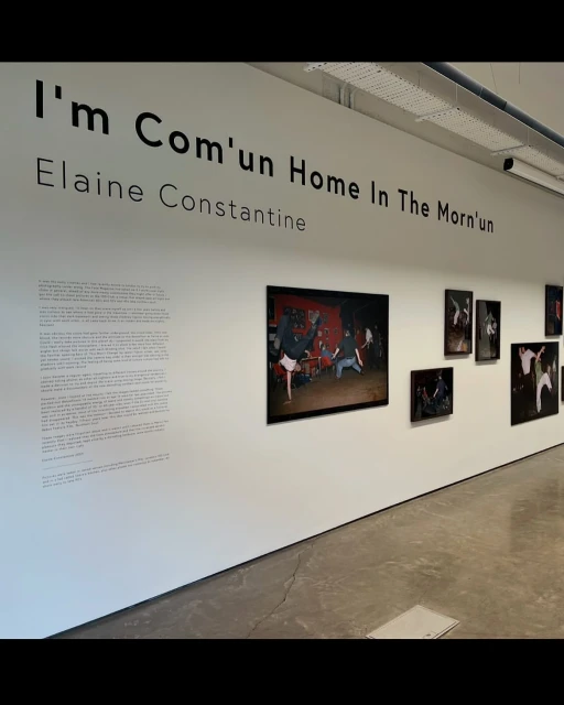 Elaine Constantine