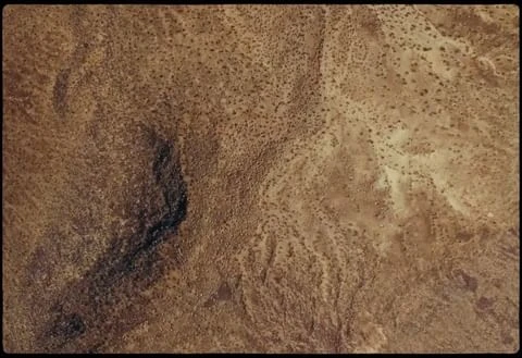 Elliot James Kennedy