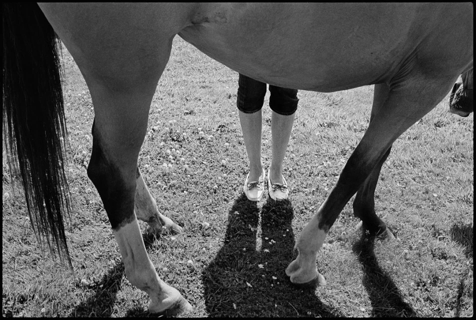 Elliott Erwitt