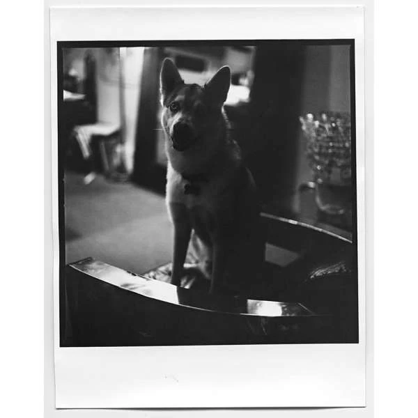 Ginsburg & Associates