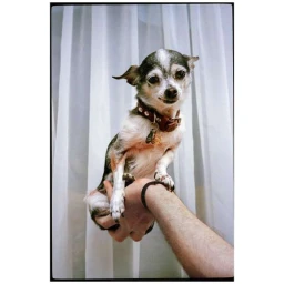 Ginsburg & Associates