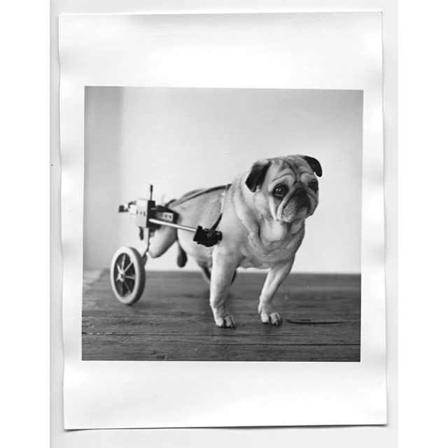 Ginsburg & Associates