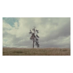 Fee-gloria Grönemeyer