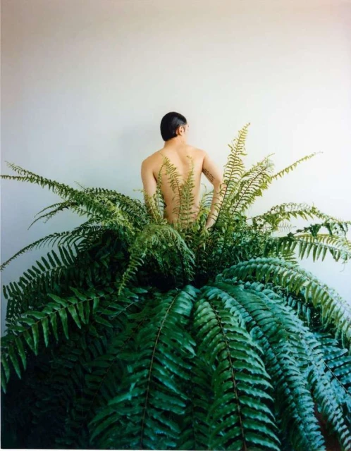 Fee-gloria Grönemeyer