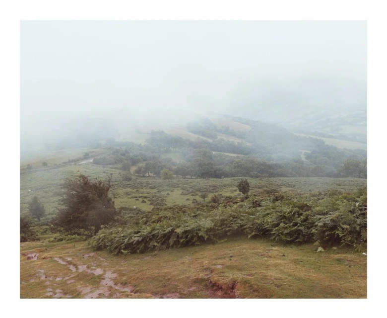 Laird and Good Company