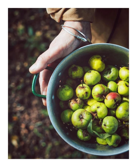 Laird and Good Company