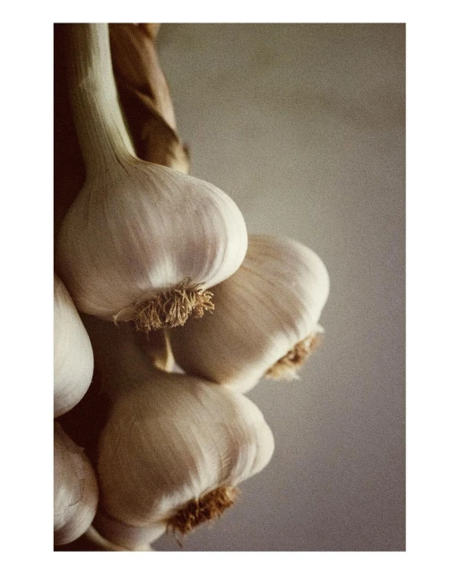 Laird and Good Company