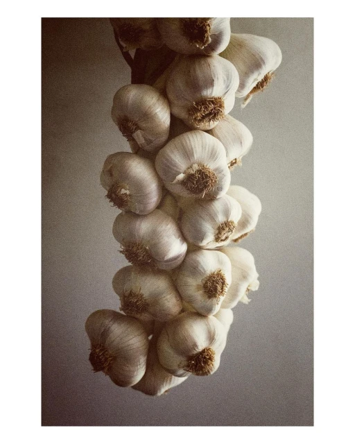 Laird and Good Company