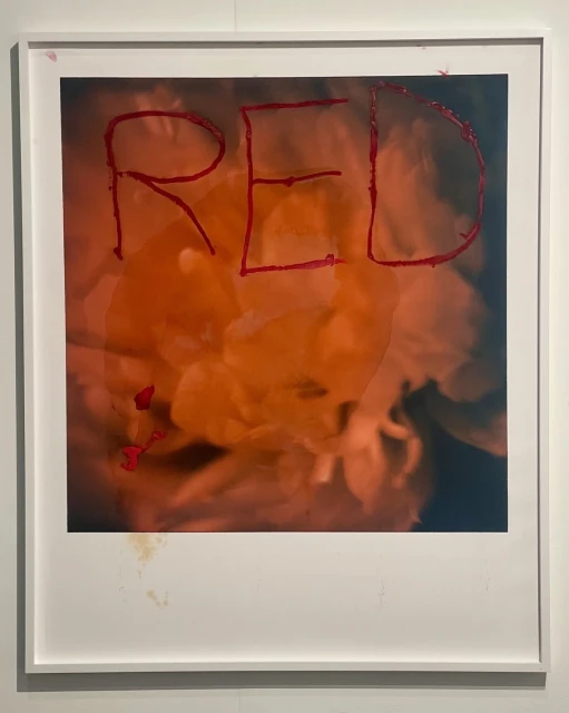 Creative Exchange Agency