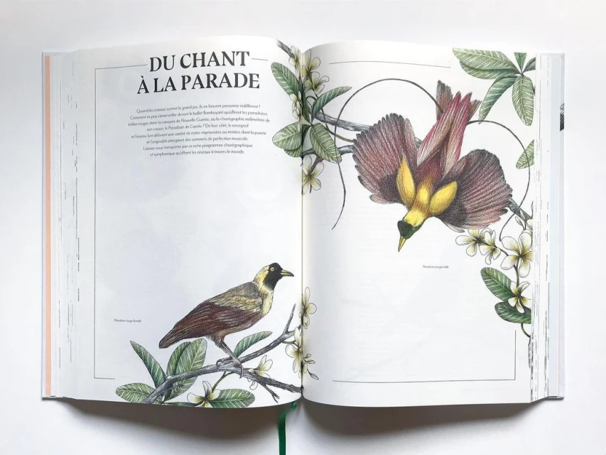 Frédérique Vernillet