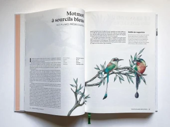 Frédérique Vernillet