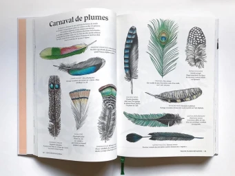 Frédérique Vernillet