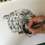 Frédérique Vernillet