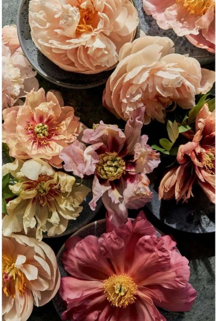 Laird and Good Company