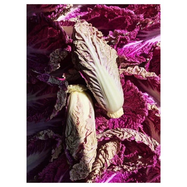 Laird and Good Company