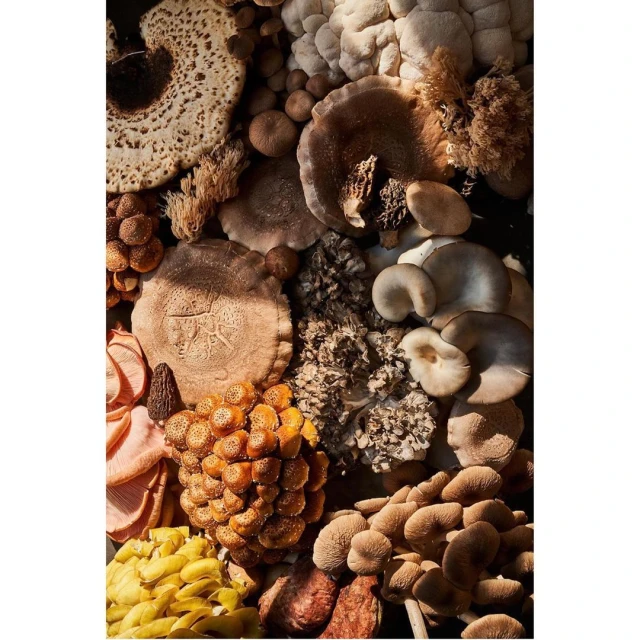 Laird and Good Company